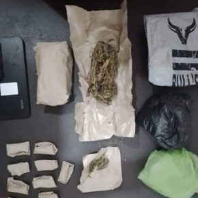 Sat-Narkoba Polres Pelabuhan Belawan Tangkap Pengedar Ganja Di Rengas Pulau