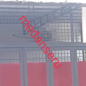 Diduga PT CEP Di Medan Labuhan Produksi Rokok Tanpa Pita Cukai Bebas Beroperasi