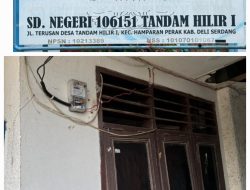 Dinas Pendidikan Deli Serdang “Kebobolan”, SD Negeri 106151 Tandam Hilir 1 Disinyalir “Nikmati” Listrik Curian Bertahun-Tahun