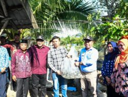 Ke Hamparan Perak, Bupati Tinjau TPI Paluh Manan Hingga Serahkan Bantuan RTLH